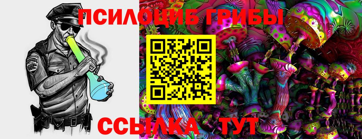 Балахна  Галлюциногенные грибы Cubensis  Вход с VPN 